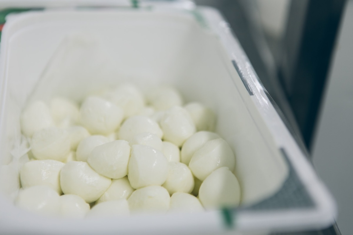 mozzarella bez sirila