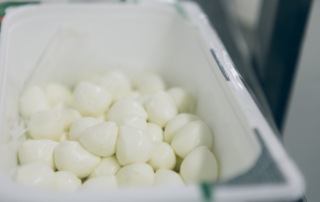 mozzarella bez sirila